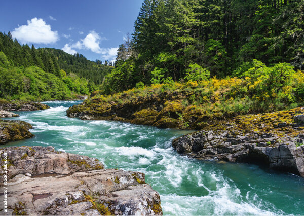 ED 04/2024 Flusswasser: Großes Wärmepotenzial (S.5)